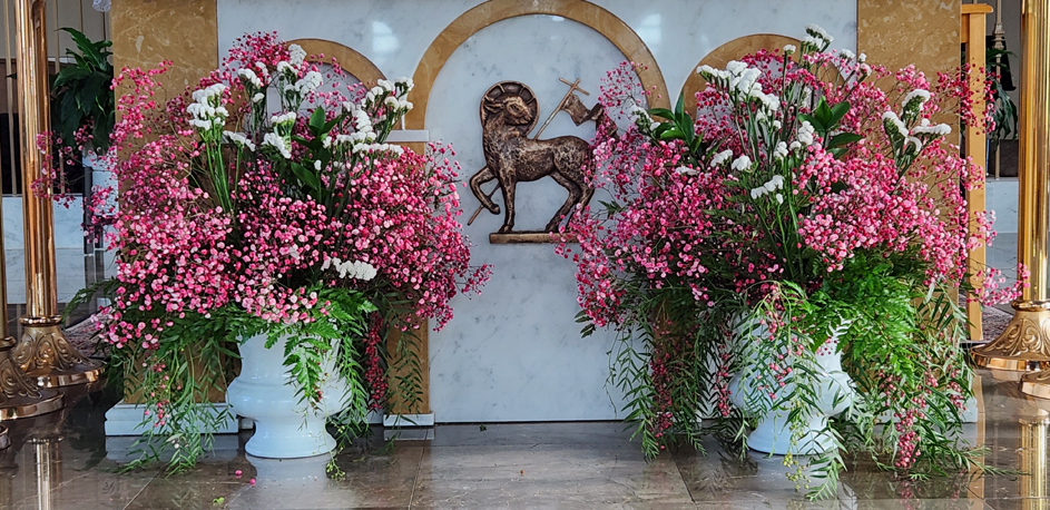 Amaranthus,  Queen Anne’s Lace, Pink Snapdragons, Pink Lisianthus, Pink Strawflower ,  Bok Choy Seed Pods, &  Variegated Japanese Sedge